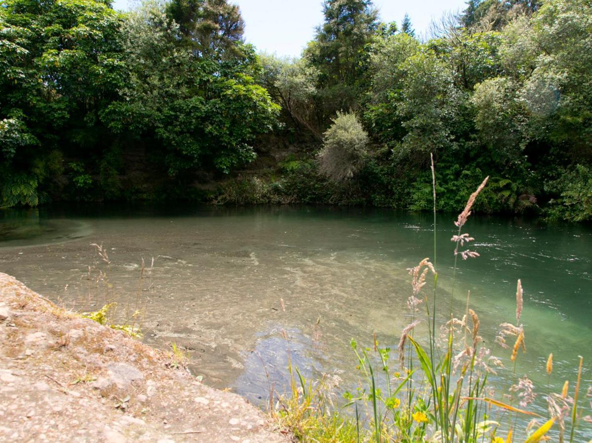 Bellbird Cottage - Lake Taupo Bach Waitahanui Exterior photo